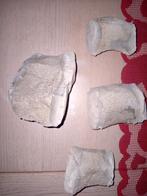 Septaria zilverkleurig, Verzamelen, Ophalen of Verzenden