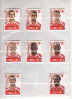 Panini Football 2014 Bergen 8 stickers, Verzamelen, Verzenden, Zo goed als nieuw, Poster, Plaatje of Sticker