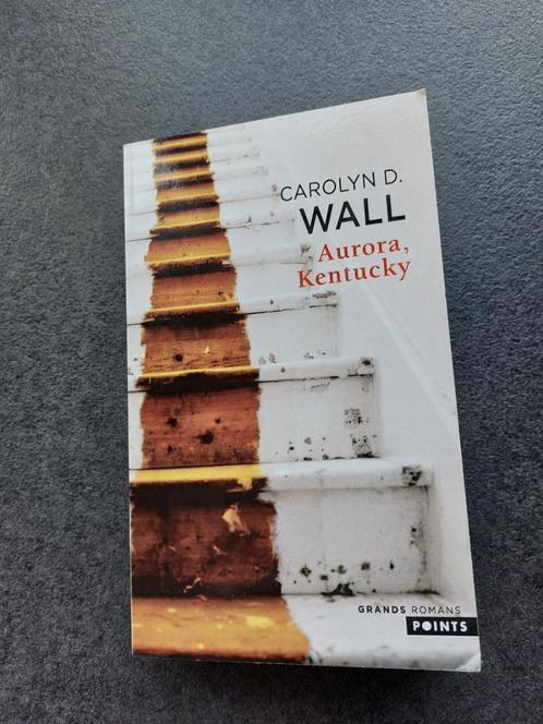 Aurora, Kentucky - Carolyn D. Wall, Livres, Romans, Comme neuf, Amérique, Enlèvement ou Envoi