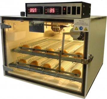 Incubateur : incubateur MS 100 - Avec œufs gratuits, Enlèvement ou Envoi, Neuf, Couveuse