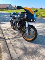 Buell XB 12, Motoren, Motoren | Buell, 2 cilinders, Particulier, Meer dan 35 kW, Overig