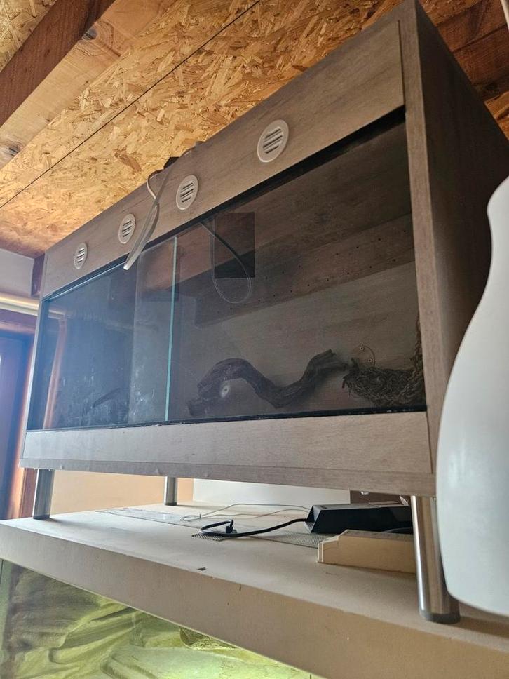 Terrarium, Dieren en Toebehoren, Reptielen en Amfibieën | Toebehoren, Ophalen