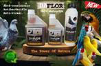 NEW Daflor 3in1 Mix 250ml - Vogels & Duiven - Nieuwe Formule, Envoi, Neuf, Manger et Boire