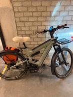 Riese & muhler super delite grijs groen, rollhof naaf, Fietsen en Brommers, Elektrische fietsen, Ophalen, Zo goed als nieuw