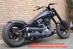 Harley en Custombikes uitlaat keramisch coaten+ Tank Coating, 4 cilinders