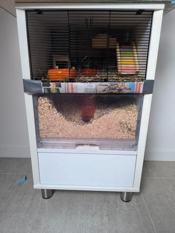 2 mannelijke gerbils met kooi, Enlèvement, Comme neuf, Cage