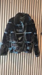 Veste vero moda, Enlèvement