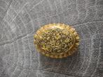 Antieke broche verguld AF Paris depose, Ophalen of Verzenden