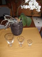 vintage glasservies, Ophalen of Verzenden