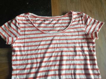 t-shirt oranje gestreept merk gemo – maat L – nieuw, Enlèvement ou Envoi, Gemo, Orange, Taille 42/44 (L)