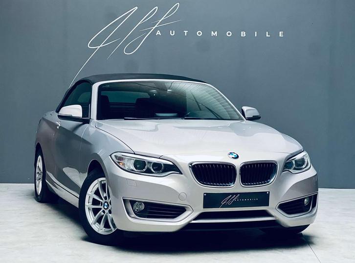 BMW 2 Serie 220 d Cabriolet *AUTOMATIQUE*CARNET COMPLET*, Auto's, BMW, Bedrijf, Te koop, 2 Reeks, ABS, Airbags, Airconditioning
