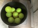 15 ballen voor menkegels, Dieren en Toebehoren, Ophalen