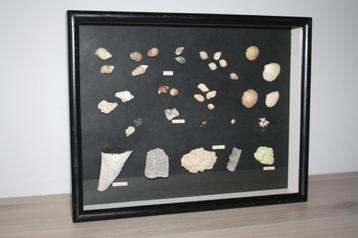 Oude Reliëf kader met fossielen, gesteenten en schelpen beschikbaar voor biedingen