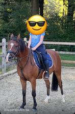 Leuke c pony, Dieren en Toebehoren, Pony's, Ruin