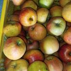 Appel, Diversen, Levensmiddelen, Ophalen of Verzenden