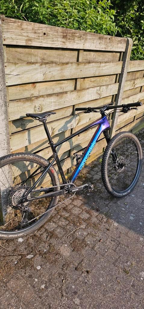 Cannondale scalpel ht2 carbon lefty ocho, Fietsen en Brommers, Fietsen | Mountainbikes en ATB, Ophalen