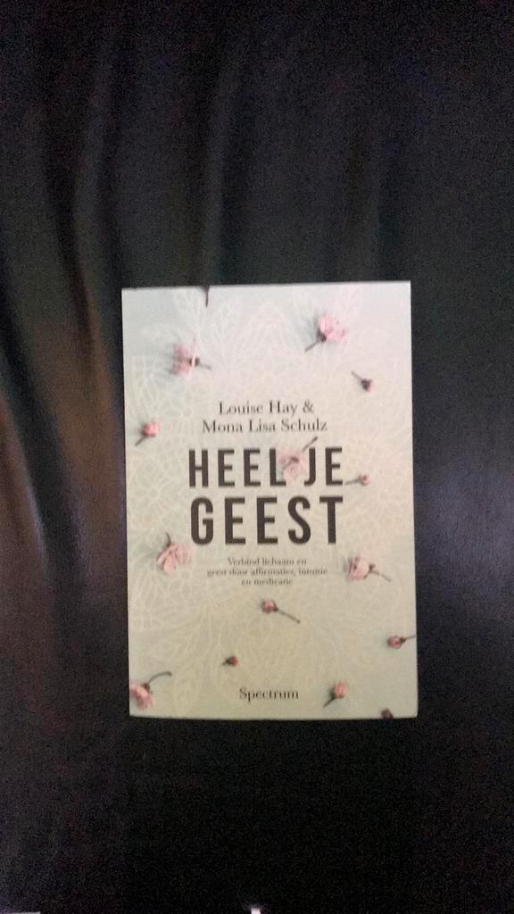 Louise Hay - Heel je geest, Boeken, Esoterie en Spiritualiteit, Zo goed als nieuw, Verzenden