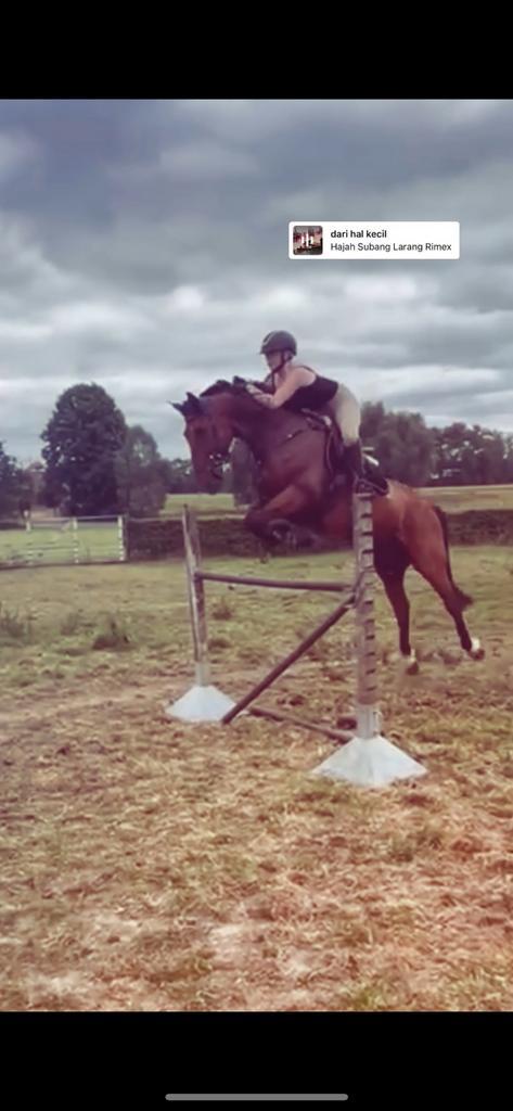 Zadelmaker gezocht, Dieren en Toebehoren, Paarden en Pony's | Zadels, Recreatie, Ophalen of Verzenden