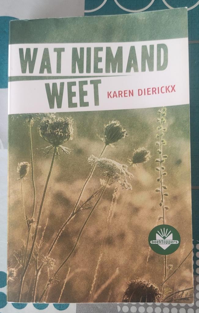 Wat niemand weet Karen Dierickx boek, Boeken, Romans, Gelezen, Ophalen of Verzenden