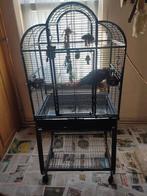 Papagaai kooi, Dieren en Toebehoren, Vogels | Hokken en Kooien, Ophalen, Zo goed als nieuw