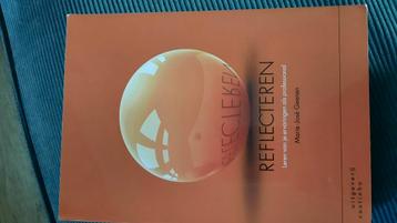 Marie-José Geenen - Reflecteren beschikbaar voor biedingen