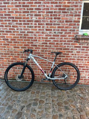 Olympia drake 29 beschikbaar voor biedingen