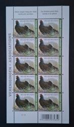 Belgique : COB 4305 ** Oiseaux 2013., Sans timbre, Neuf, Enlèvement ou Envoi, Non oblitéré