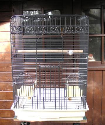 Belle grande cage Montana pour petit perroquet beschikbaar voor biedingen