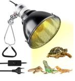 schildpad of terrariumverwarming (zonder de lamp), Dieren en Toebehoren, Ophalen of Verzenden, Zo goed als nieuw, Terrarium of Paludarium