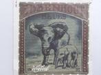 Wigbert - Ebbenhout Blues, Ophalen of Verzenden, Nederlandstalig