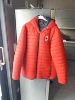 fc antwerp kappa jas  origineel, Ophalen, Zo goed als nieuw, Overige typen