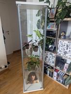 Glazen plank - IKEA DETOLF, Ophalen, Zo goed als nieuw