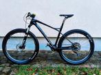 Full Carbon mountainbike - Italiaans Protek-frame - 29 inch, Fietsen en Brommers, Ophalen, Zo goed als nieuw, Trek