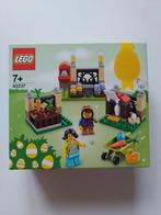 Lego 40237 Pasen - Paas eieren zoeken, Ophalen of Verzenden, Nieuw, Complete set, Lego