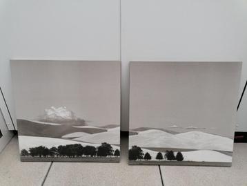 Canvas tweeluik of drieluik beschikbaar voor biedingen