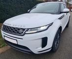 Land Rover Range Rover Evoque 1.5Turbo MHEV 2WD P160, Achat, Euro 6, Entreprise, Carnet d'entretien