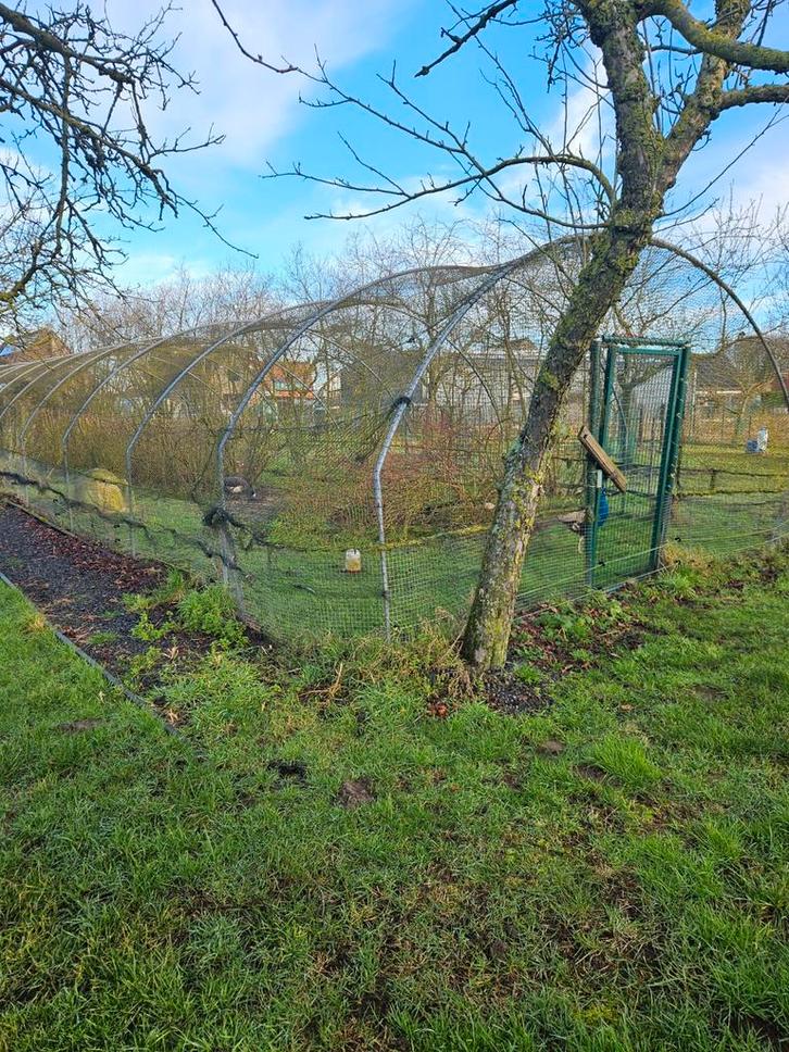 Tunnelvoliere, Animaux & Accessoires, Volatiles | Accessoires, Enlèvement