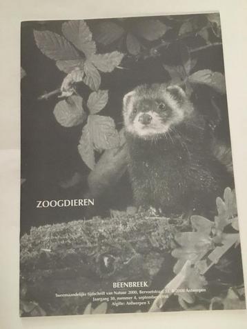 Zoogdieren. Beenbreek beschikbaar voor biedingen