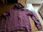 Hoody G-Star - Raw met rits - Medium, G-star Raw, Ophalen of Verzenden, Zo goed als nieuw, Maat 38/40 (M)