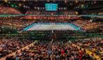 BILLETS POUR L'OPEN D'ABAN AMRO - RECHERCHÉS, Tickets & Billets, Trois personnes ou plus, Février