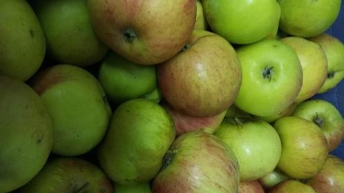 Appelen Jacques Lebel, Diversen, Levensmiddelen, Ophalen