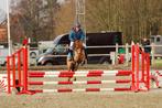 Geweldige A pony voor ambitieuze ruitertjes, Dieren en Toebehoren, Pony's, Gechipt, Ruin, Springpony, A pony (tot 1.17m)