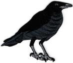 Kraai Raaf Crow stoffen opstrijk patch embleem, Collections, Autocollants, Envoi, Neuf