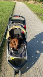 Gezocht lieve zachte persoon, Ophalen, Zo goed als nieuw