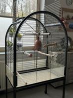 Grande cage oiseaux, Animaux & Accessoires, Oiseaux | Cages & Volières, Comme neuf