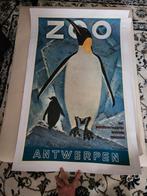 Affiche publicitaire du zoo d'Anvers 1950, Collections, Posters & Affiches, Comme neuf, Enlèvement ou Envoi