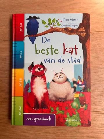 Visser Rian - De beste kat van de stad beschikbaar voor biedingen