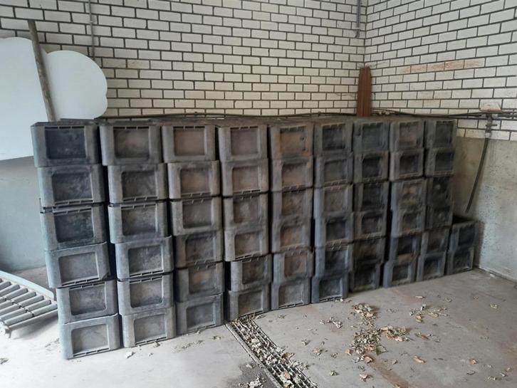 Te koop machines voor de aspergeteelt, Zakelijke goederen, Landbouw | Werktuigen, Vollegrondsgroente, Overige typen, Ophalen