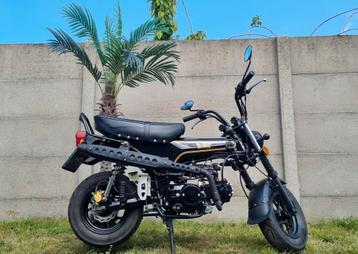 125cc bluroc dax te koop, Vélos & Vélomoteurs, Enlèvement, Comme neuf