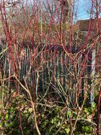 Schuifpoort, Ophalen, Schuifpoort